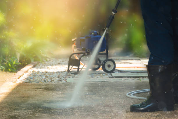 Best Soft Washing for Delicate Surfaces in Pahoa, HI